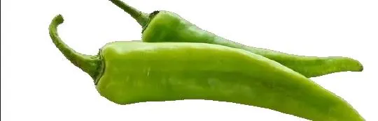 Fresh green chillies — 72% of every PIKL jar